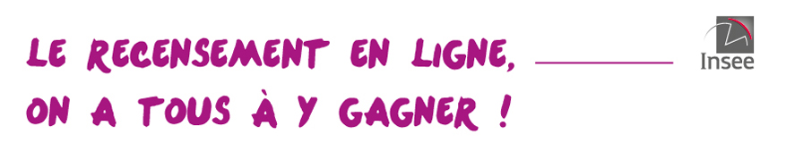 recensement-en-ligne